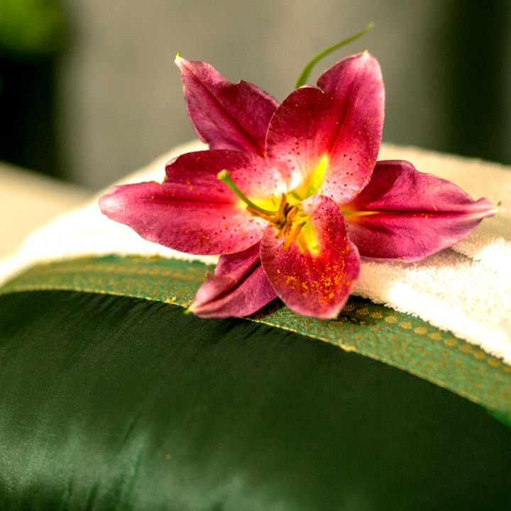 Pinke Lilie auf grünem Seidenkissen mit weißem Tuch
